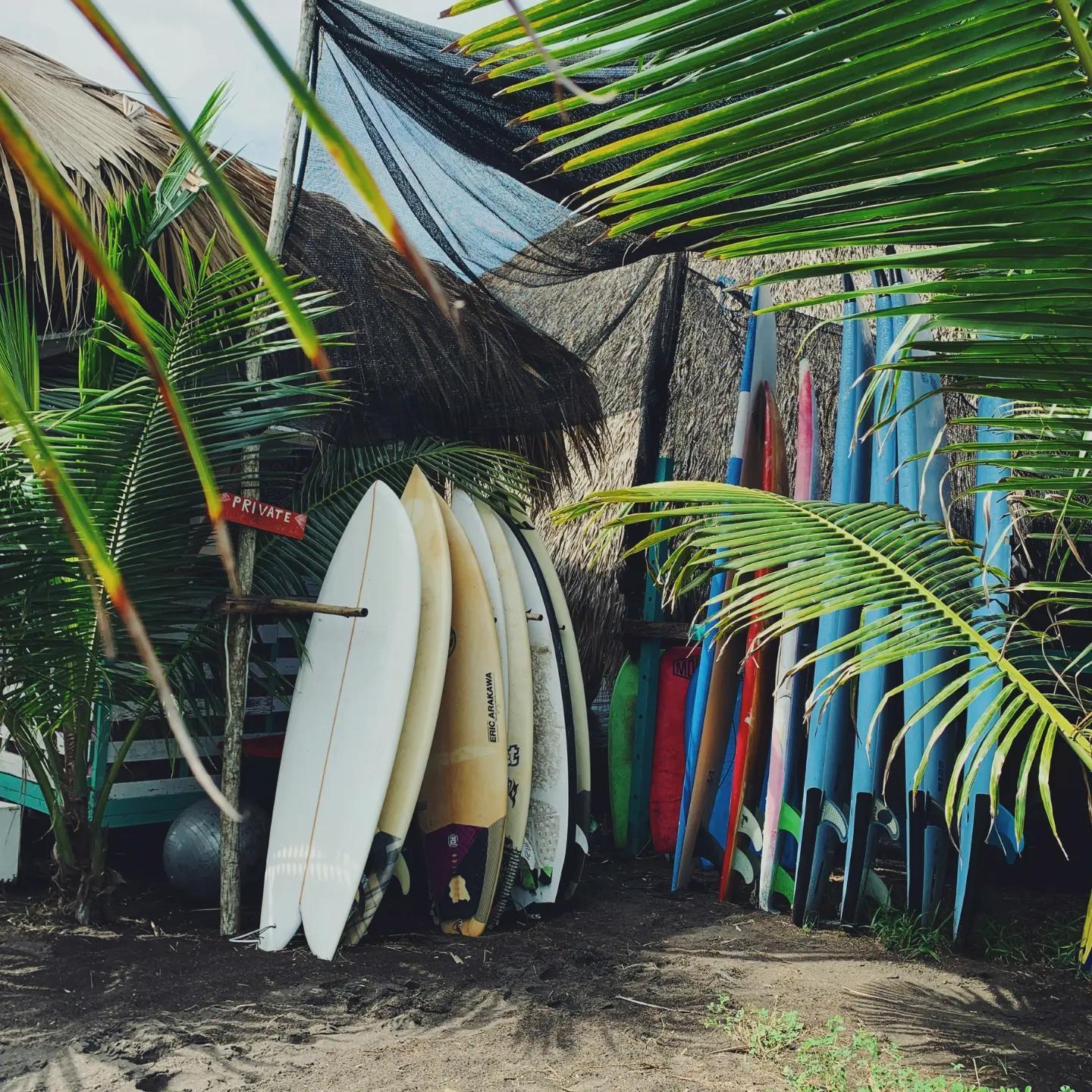 Why Oskar Is Your Go-To Surf Camp Booking Solution Why Oskar Is Your Go-To Surf Camp Booking Solution